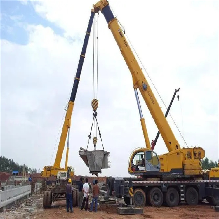 翰林镇小型吊机出租电话|厂房设备吊装方案|24小时服务覆盖